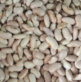 تصویر لوبیا کشاورزی یک کیلو 