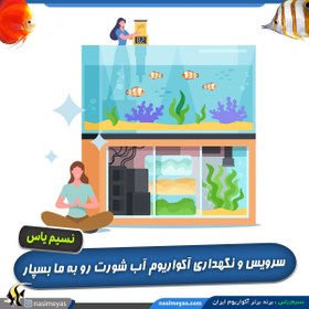 تصویر خدمات سرویس و نگهداری آکواریوم های آب شور Saltwater aquarium service by NasimeYas