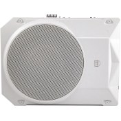 تصویر ساب ووفر ال اس آدیو مدل LS-10Pro سایز ۱۰ اینچ 