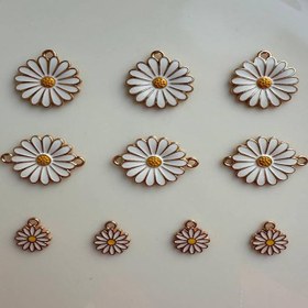 تصویر پلاک بابونه 