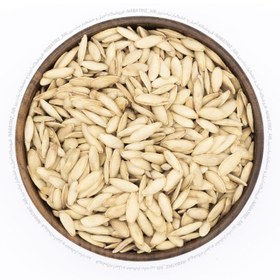 تصویر تخمه کدو قلمی نمکی 