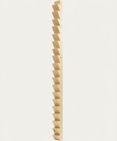 تصویر نردبان انگشتی Finger (Abduction) Ladder 