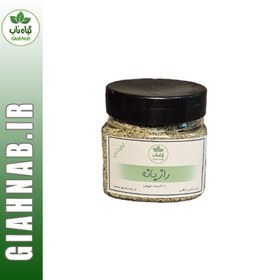 تصویر رازیانه 