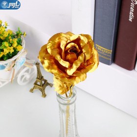 تصویر گل رز طلا 