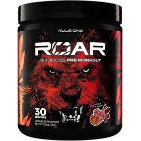 تصویر پمپ ROAR رول وان 270 گرم 