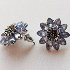 تصویر گوشواره و گل سر آبی 