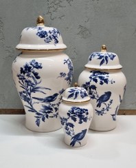 تصویر جینجرجار (بانکه) پرنده استوایی ابی Jinjerjar