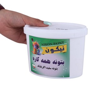 تصویر بتونه همه کاره Nikon Paint 500gr Nikon 500gr Putty