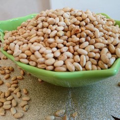 تصویر سویا آجیلی اعلاء تفت داده شده ( بسته 250 گرمی) طعم دار شده با طعم لیمو ترد و خوشمزه 