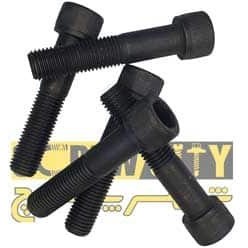 تصویر آلن باسر 