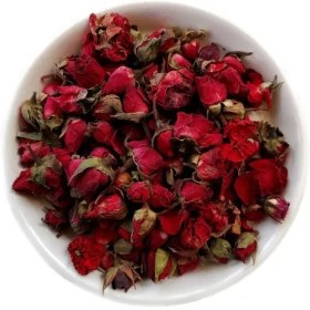 تصویر غنچه رز رنگی 