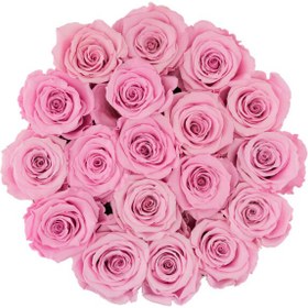 تصویر Pale Pink Eternal Roses in Black Large Flocked Box | کد: ZNB-1IW4 