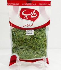 تصویر سبزی خشک تره ۱۰۰ گرمی 