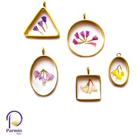 تصویر گل خشک شیپوری 