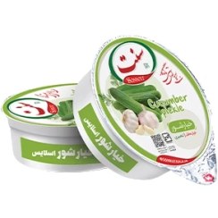 تصویر خیارشور اسلایس ویژه 100 گرمی تعداد درکارتن36عدد 