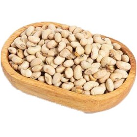 تصویر سویا آجیلی فله 