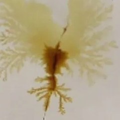 تصویر سنگ شجر کد 2309 