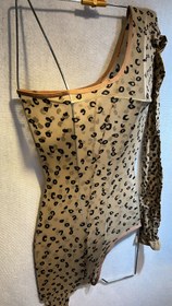 تصویر فیشنت پلنگی 