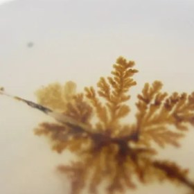 تصویر سنگ شجر کد 2312 