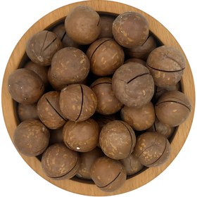 تصویر ماکادمیا 