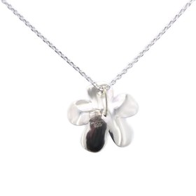 تصویر بابونه و مروارید 