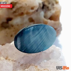 تصویر صدف بسیار زیبا (قدیمی) 