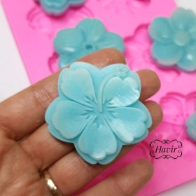 تصویر گلهای ۵ سانتی متنوع 