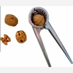 تصویر گردوشکن نوین 