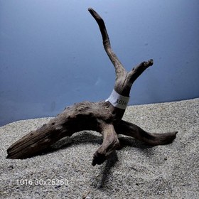 تصویر ریشه آبنوس کد 1016 ارسال این ریشه رایگان می باشد