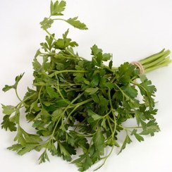 تصویر بذر جعفری کشتزار کیسه 5 کیلوگرمی 