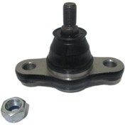 تصویر سیبک طبق کیا کارنز 