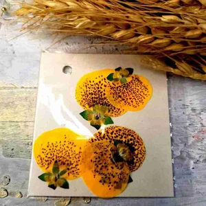 تصویر فروشگاه کافه رزین