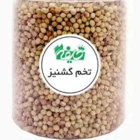 تصویر تخم گشنیز خلیفه 