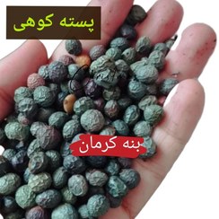 تصویر پسته کوهی بنه جنوب کرمان (سقز وحشی) پرخاصیت، ارگانیک 