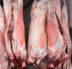 تصویر گوشت گرم گوسفند بسته بندی به سفارش مشتری