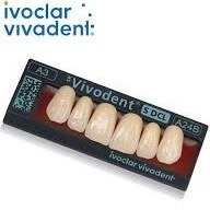 تصویر دندان مصنوعی ایوکلار ivoclar tooth 