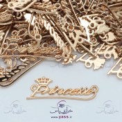 تصویر مارک فلزی خارجی طلایی برند Princesse (5 عددی) 