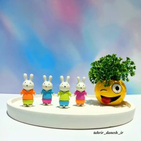 تصویر پاک کن خرگوشی فانتزی 