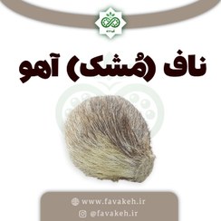 تصویر ناف آهو طبیعی (مشک آهو) 