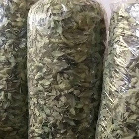 تصویر برگ بو ایرانی خشک ممتاز 5 کیلوگرمی برگ خالص سورت شده درجه یک بدون چوب و شکستگی پنج کیلویی با ارسال رایگان 