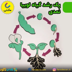 تصویر فروشگاه فارس دکور