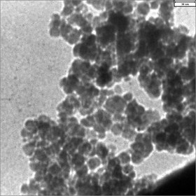 تصویر اکسید آهن با پوشش BSA و کونژوگه با آنتی ژن پروستات IONPS@BSA@PSMA11 Iron Oxide Nanoparticles with PSMA-11 Peptides nanoparticle