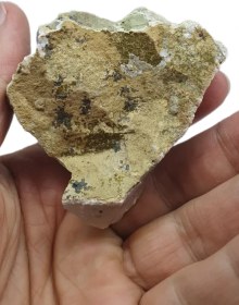 تصویر عقیق شجر راف 