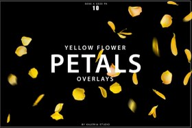 تصویر اورلی گلبرگ زرد 