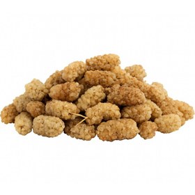 تصویر توت خشک ممتاز 