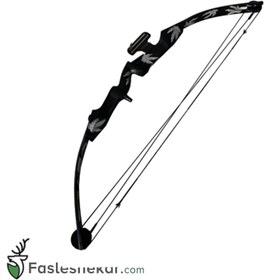 تصویر کمان کامپوند پرفکت لاین مدل PerfectLine Maple 