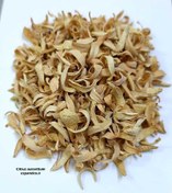 تصویر گیاه دارویی بهار نارنج (گل خشک اعلا) Citrus aurantium 