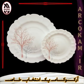 تصویر سرویس غذاخوری 25 پارچه آرکوپال (۶ نفره) شادو صورتی iropal 25 Pcs