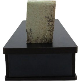 تصویر سنگ شجر فسیلی (دندریتی ) کد 2595 