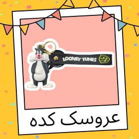 تصویر جاسوئیچی طرح گربه 